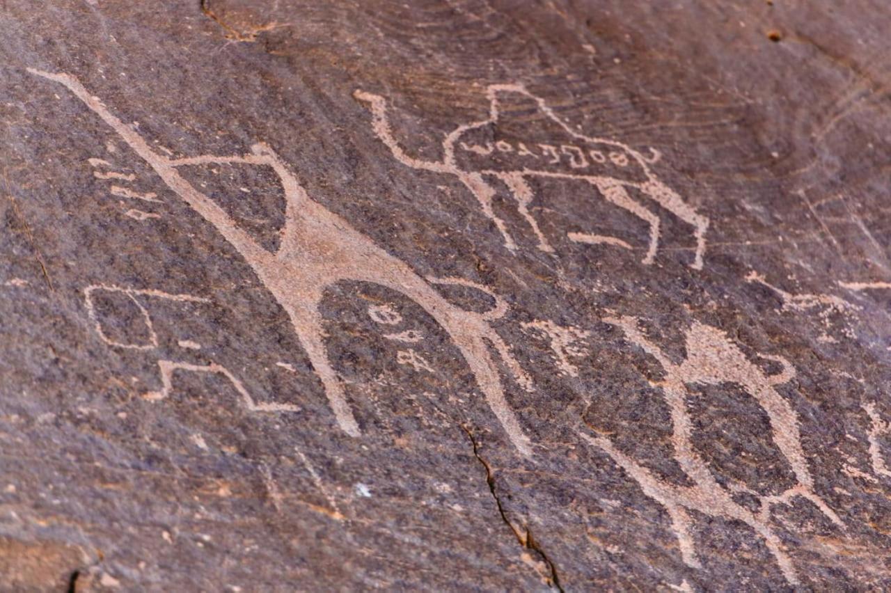 Hotel Harmony Luxury Camp Wadi Rum Exterior foto