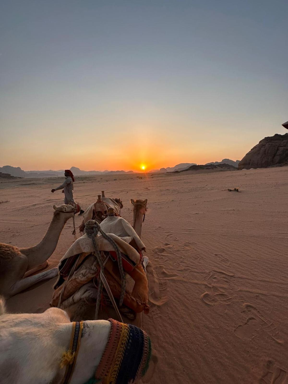 Hotel Harmony Luxury Camp Wadi Rum Exterior foto