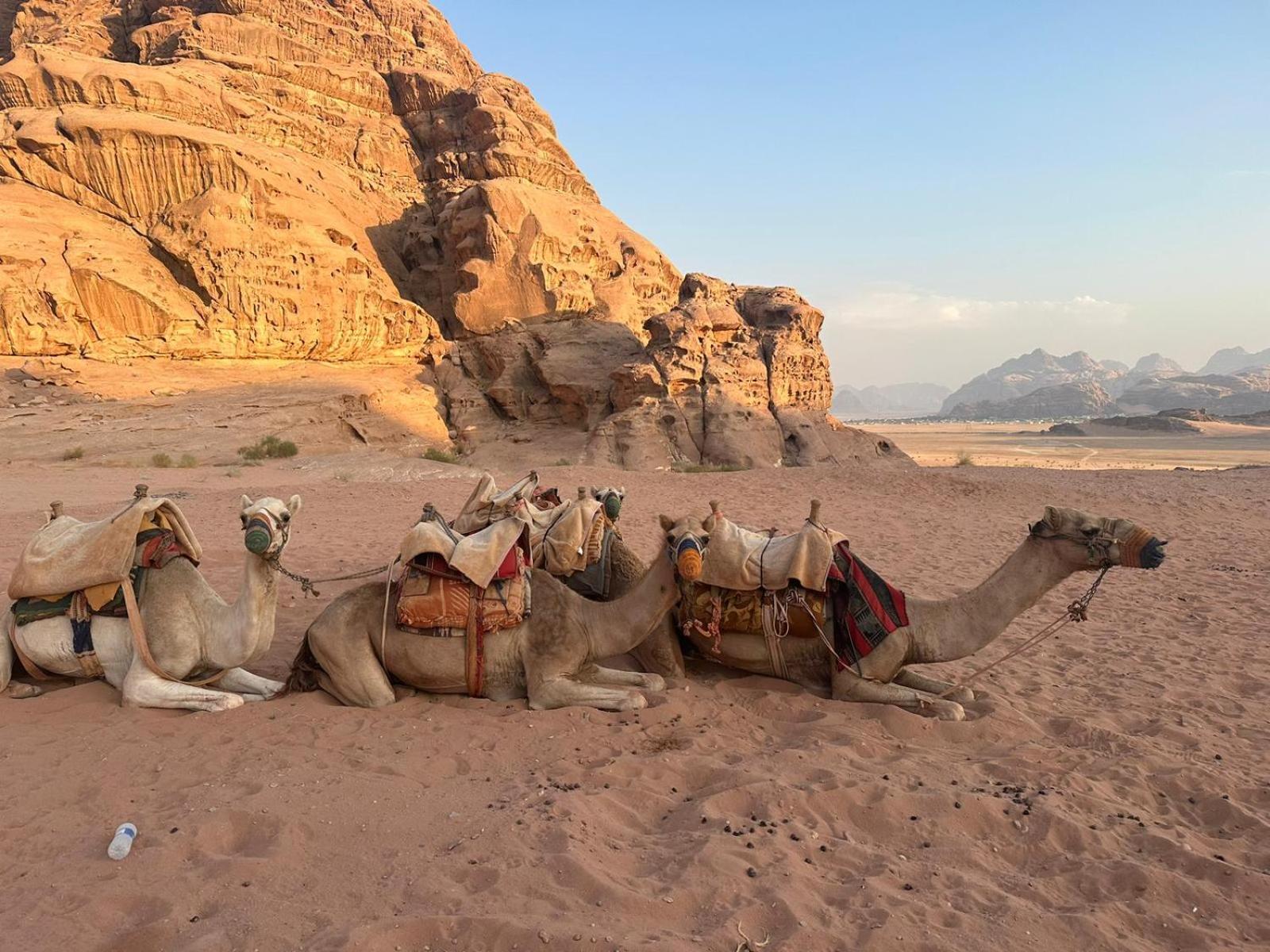 Hotel Harmony Luxury Camp Wadi Rum Exterior foto